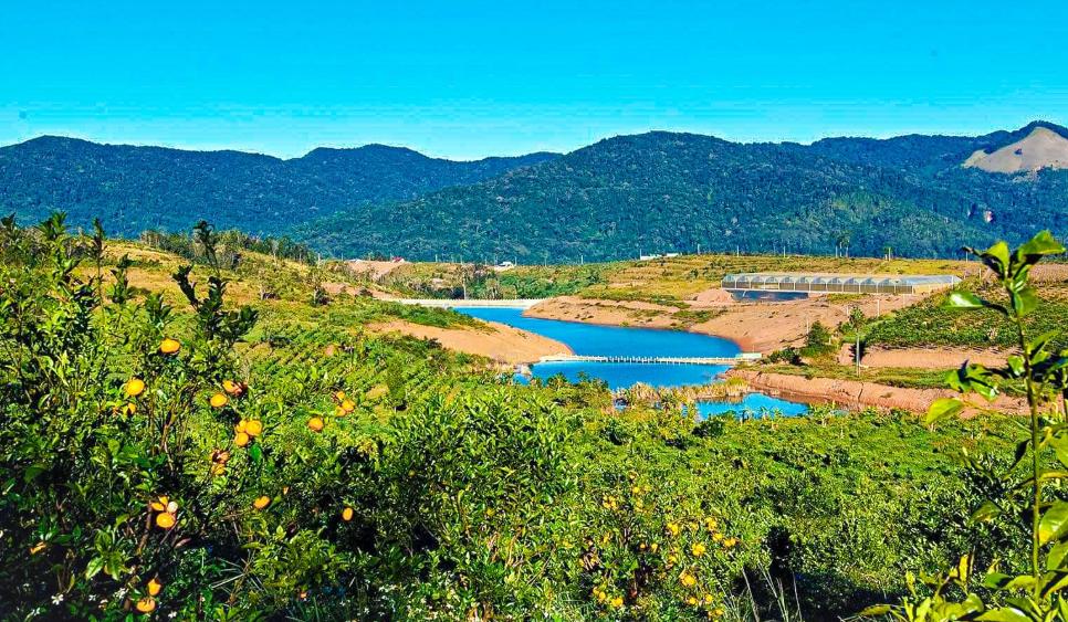 Khuôn viên thiên nhiên "xanh" tại Orfarm Măng Đen