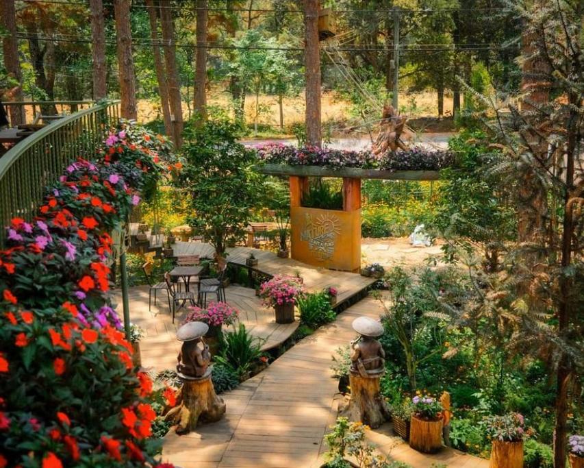 Khung cảnh nên thơ tại Rosie Garden Măng Đen