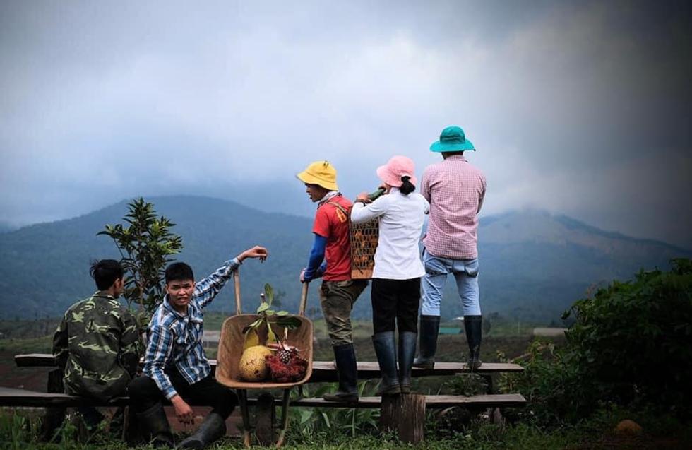 Trải nghiệm làm nông dân tại vườn cam Măng Đen