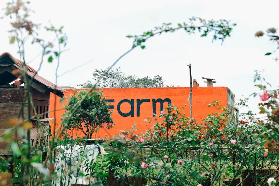Vườn Cam Orfarm Măng Đen