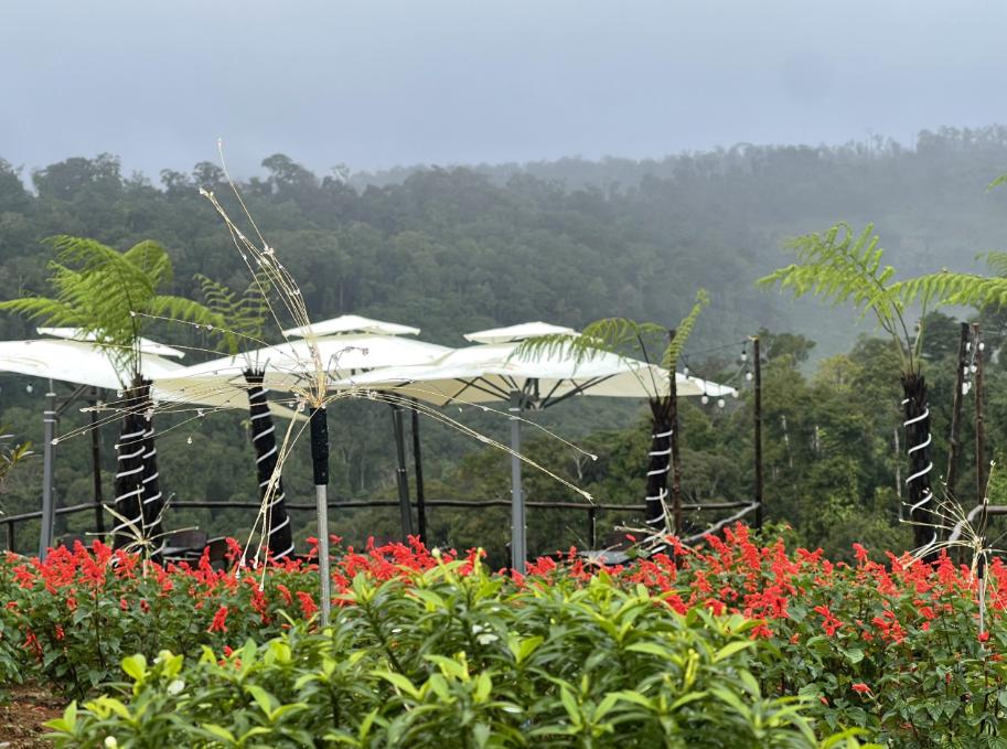 Vườn Hoa Việt Úc Flower Garden