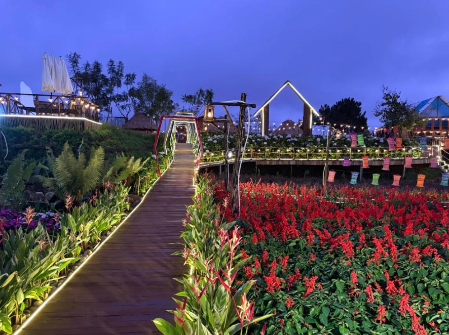 Cung đường tình yêu chứa đầy hoa