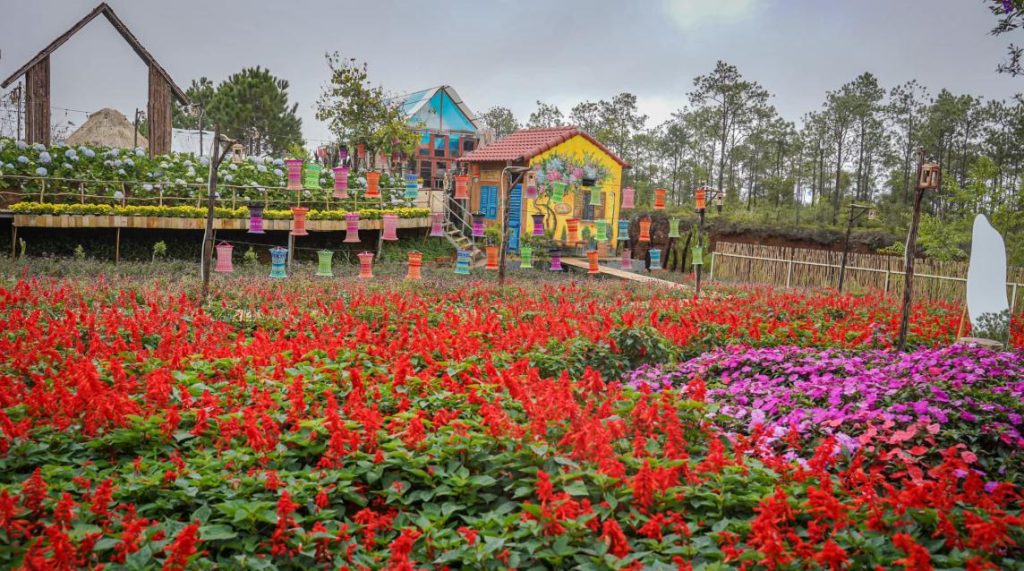 Hệ thực vật phong phú