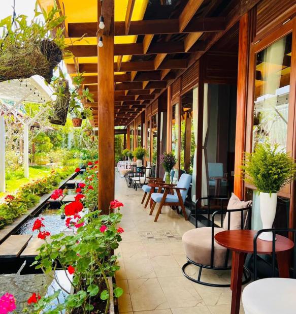 Khuôn viên được bao quanh bởi các bụi hoa hồng