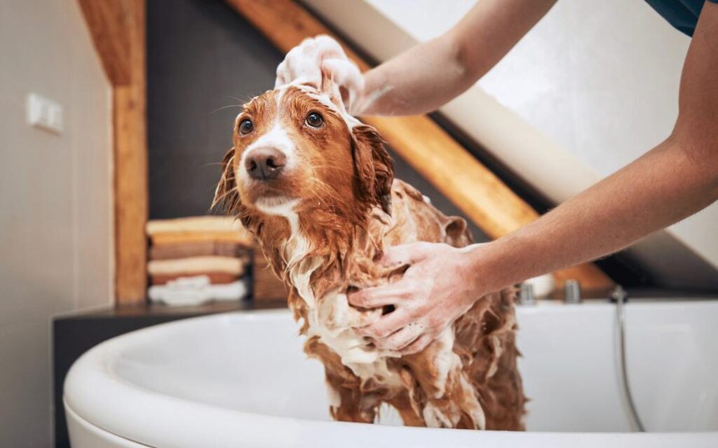 Vệ sinh cơ thể và hoạt động thể chất mỗi tuần