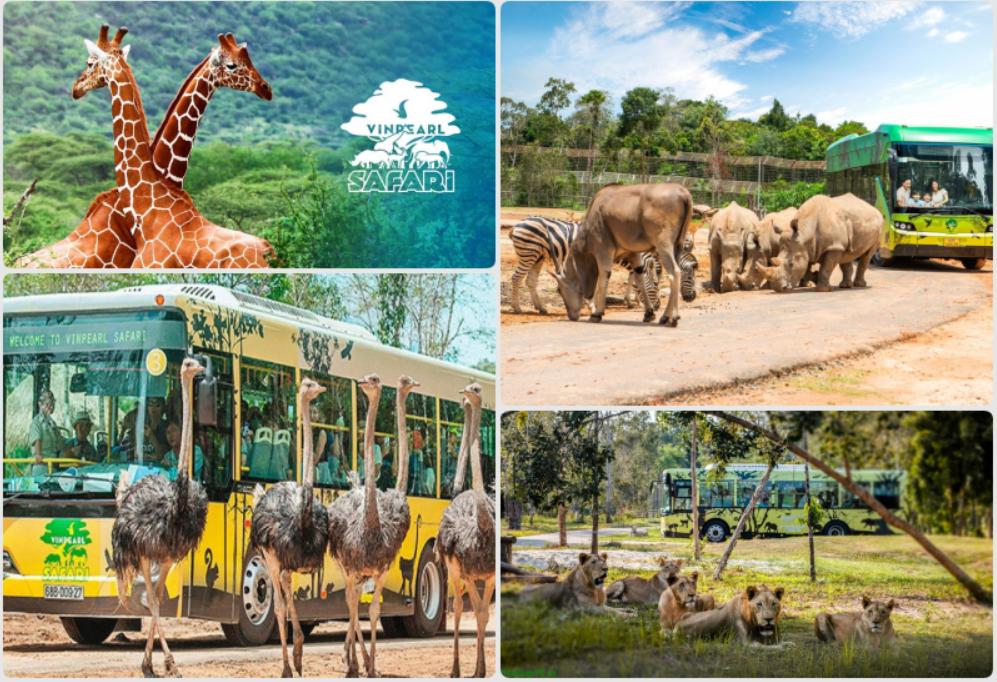 Khu bảo tồn động vật Vinpearl Safari Phú Quốc