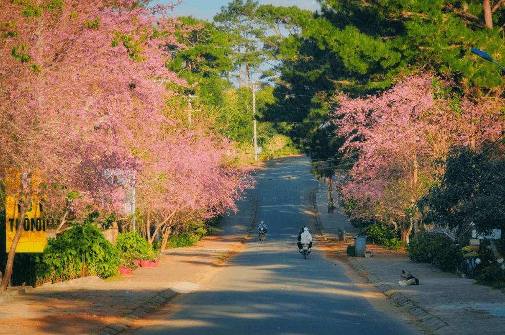 Thời điểm đẹp nhất ở Măng Đen