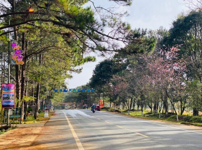 Quy Nhơn đi Măng Đen bao nhiêu km