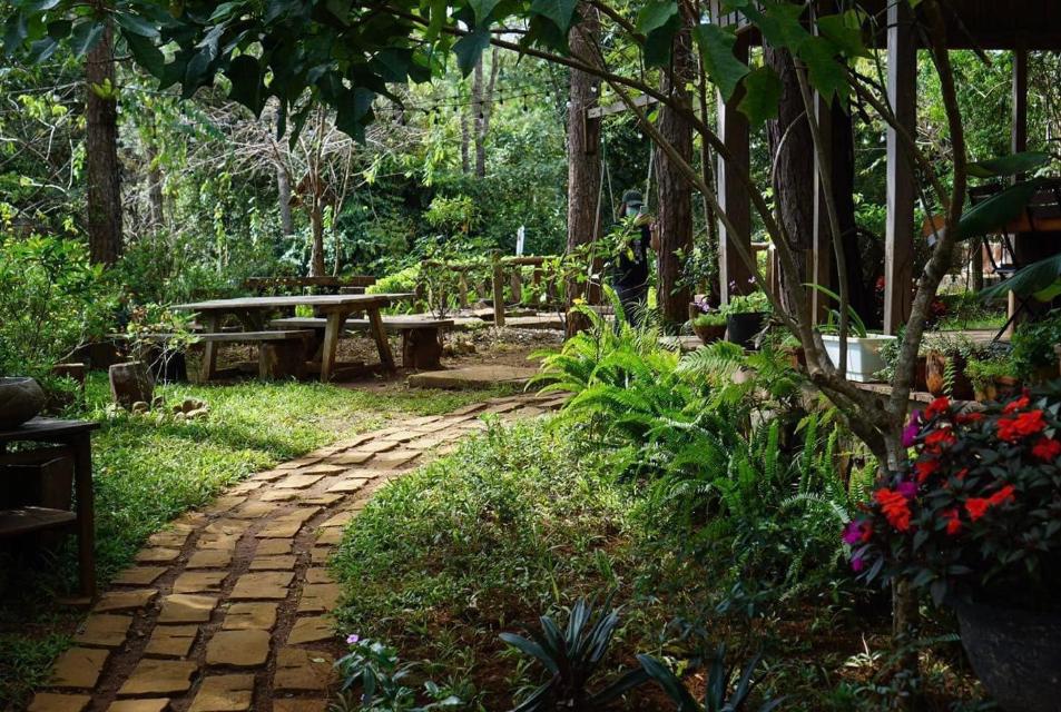 Không gian ngập tràn sắc xanh ở Toki