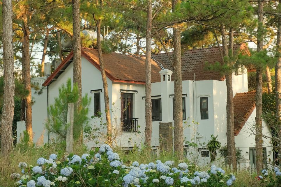 Tổng quan về Toki Homestay Măng Đen