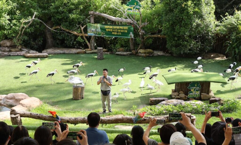 Khám phá các show diễn của động vật