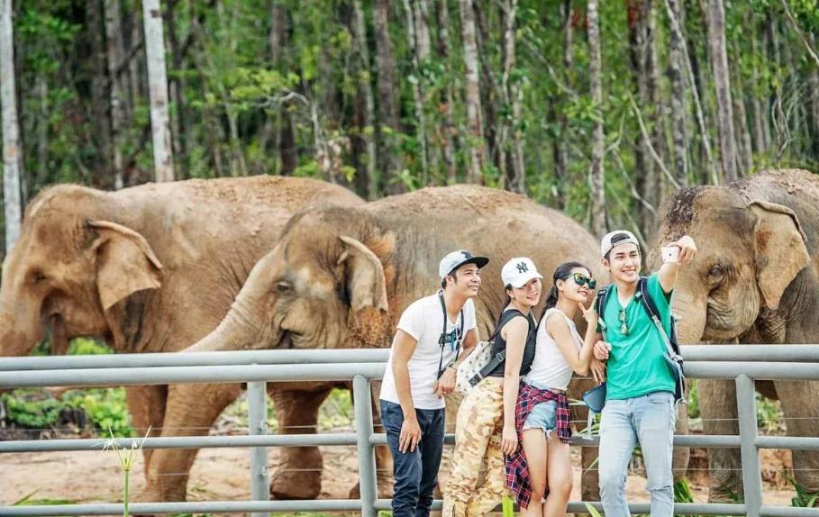 Chụp ảnh cùng các động vật