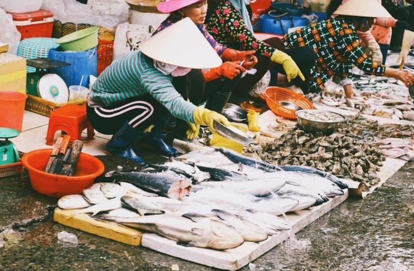 Các loại hải sản tươi sống khác