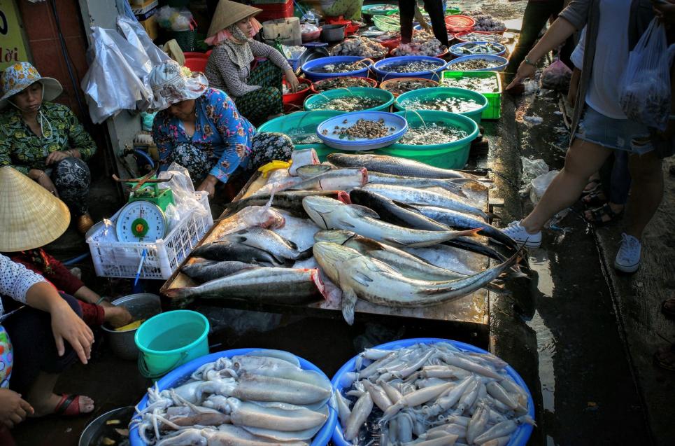 Các loại cá tươi, chắc thịt