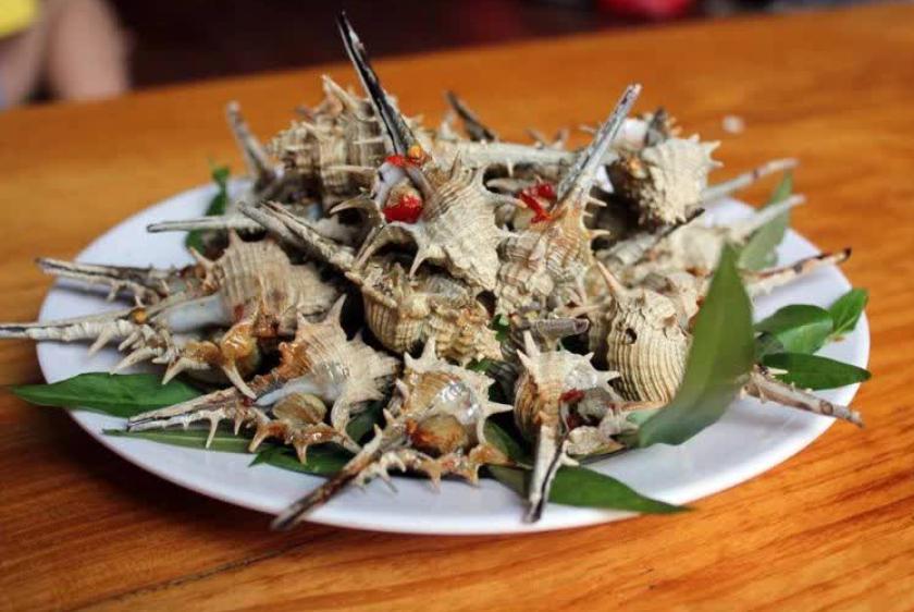 Ốc gai xương rồng