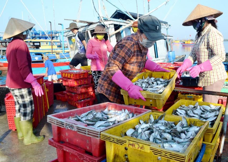 Khung cảnh chợ Bến Đá Vũng Tàu mỗi buổi sáng
