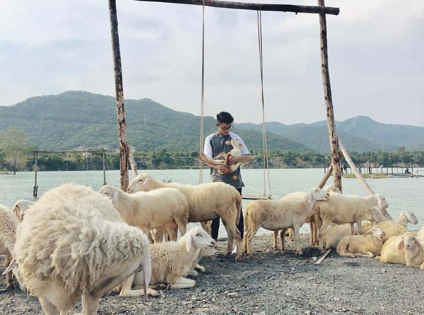 Chụp hình bên chiếc xích đu gỗ
