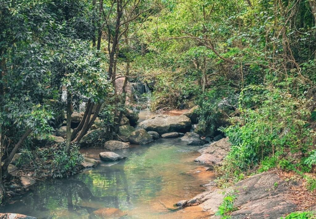 Nguồn gốc cái tên “Suối Tiên”