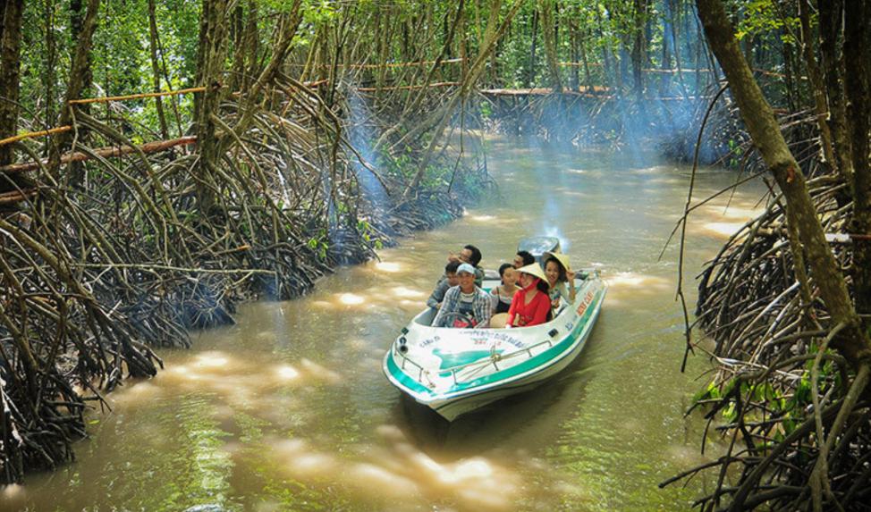 Cảnh đẹp sông nước Cà Mau